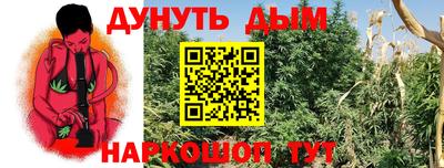 гидропоника Бийск