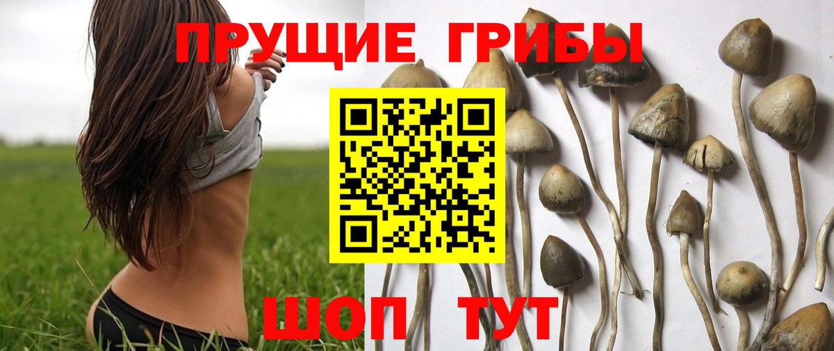 Галлюциногенные грибы мицелий  Великие Луки 